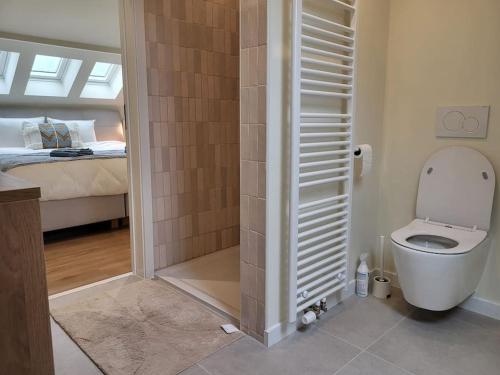 a bathroom with a shower with a toilet and a bed at Vakantiewoning 'Tranquille' Kortenaken in Kortenaken