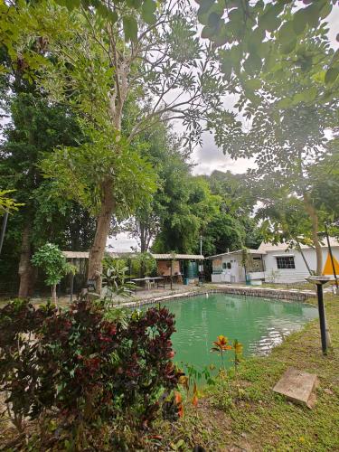 a swimming pool in the middle of a yard at PMee Home in Ban Nong Hoi