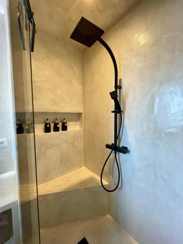 a shower in a bathroom with a glass shower backdoor at La Dépendance in Sciez