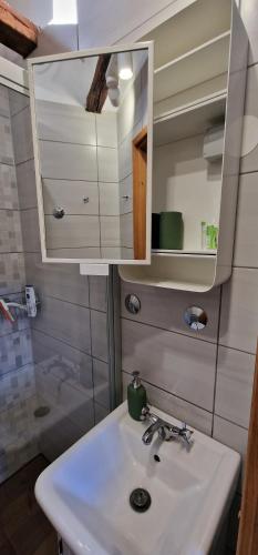 a bathroom with a sink and a mirror and a shower at Villa "CENTRAL VILLAGE" in Županja