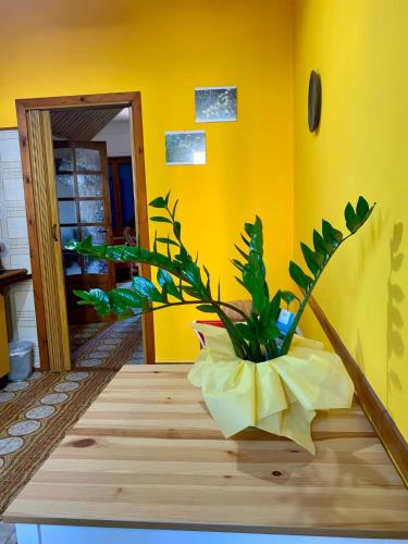 Fotografie z fotogalerie ubytování B & B Il Mirto 2 v destinaci SantʼAntìoco