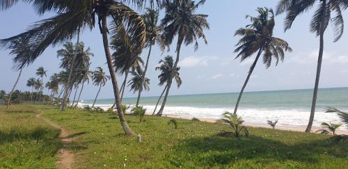 a dirt road next to a beach with palm trees at Uzoma's Lodge in Butre