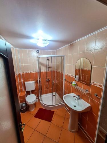 a bathroom with a shower and a toilet and a sink at Vis de Munte in Mănăstirea Humorului