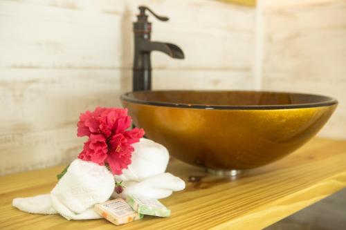 a bathroom sink with a bowl and a flower on a counter at Treetops Hotel in Caye Caulker
