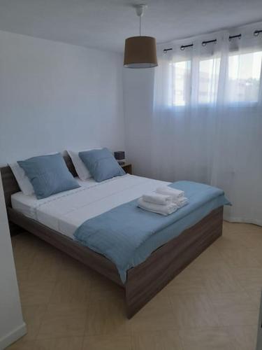 une chambre avec un grand lit avec des oreillers bleus dans l'établissement Appartement Avignon Décoration contemporaine, à Avignon