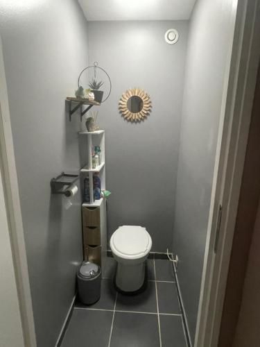 une salle de bain avec toilettes et un miroir au mur dans l'établissement La maison du Marais, à Tilques