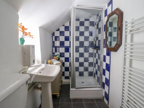 a small bathroom with a sink and a shower at Nyth Yr Eryr in Blaenau-Ffestiniog
