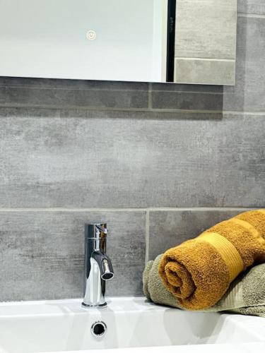 - un lavabo avec une serviette et un robinet dans l'établissement Jungle Appartement avec terrasse, à Laon