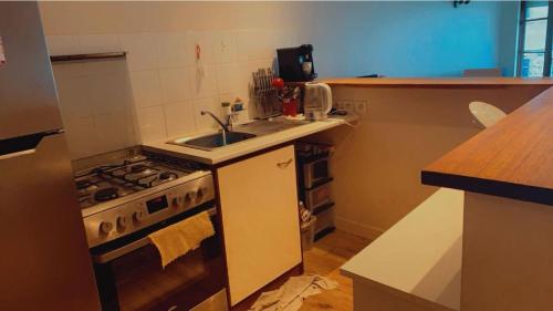 une cuisine avec une cuisinière et un évier dans l'établissement Hebergement la loire, à Saint-Étienne