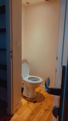 une salle de bain avec des toilettes blanches dans une chambre dans l'établissement Hebergement la loire, à Saint-Étienne