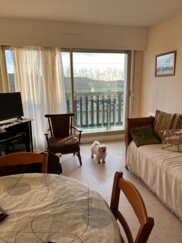 - un salon avec un canapé et un chien dans l'établissement Trouville à pied, à Trouville-sur-Mer