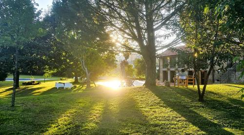 a park with a tree and a house with the sun at QUINTA DO RIBEIRO Garden House in Lousada