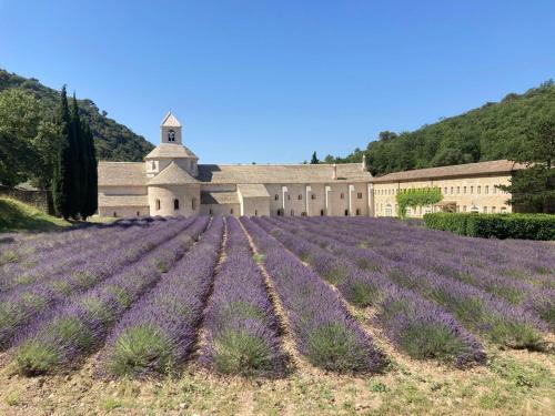 a field of lavender in front of a building at La Borie en Provence in Gordes