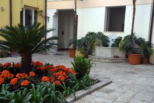 Piano Alloro photo 44