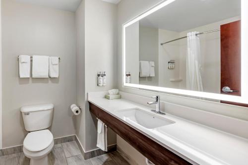 a bathroom with a sink and a toilet and a mirror at Holiday Inn Express White House by IHG in White House