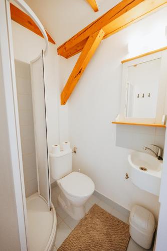 a bathroom with a toilet and a sink at Penzion U maléřa in Hroznová Lhota