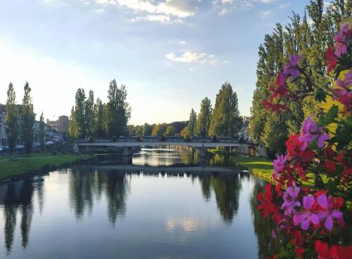 a view of a river with a bridge and flowers at Le Grand Saint Aspais - 5 Personnes - in Melun