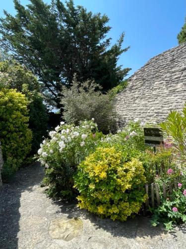 a garden of flowers and plants next to a building at La Borie en Provence in Gordes