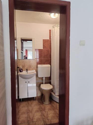 a bathroom with a toilet and a sink at Casa Finna in Covasna