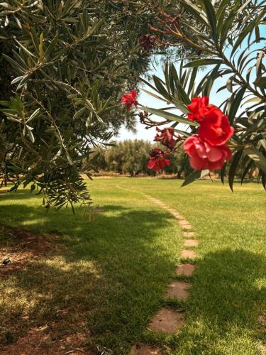 a path in the grass with red flowers at Domaine Golfique Lamrah - 10 Suites in Marrakech