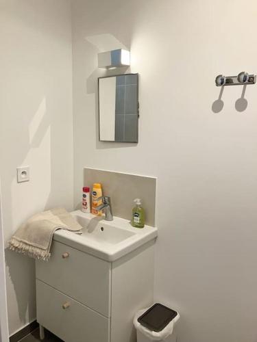 une salle de bain blanche avec un lavabo et des toilettes dans l'établissement Loft Réformés Plaine, à Marseille