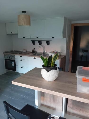 a kitchen with a table with a potted plant on it at Casa Madureira in Alpalhão
