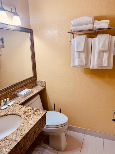 a bathroom with a toilet and a sink and a mirror at REGENCY Inn & SUITES NEW LONDON MYSTIC in New London