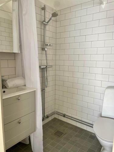 a bathroom with a shower with a toilet and a sink at Bergs Gård & Hållsvikens Gård in Västerljung