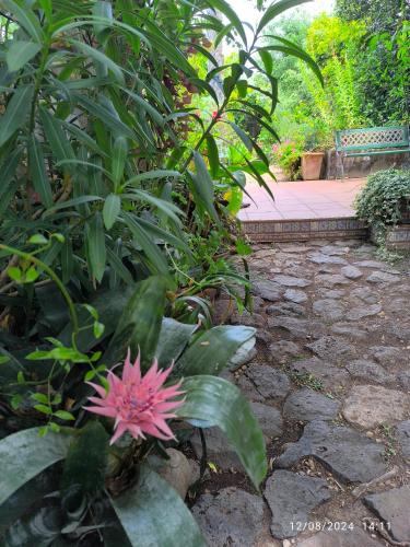 Taman di luar Casa Flora Garden Studio (Gite)