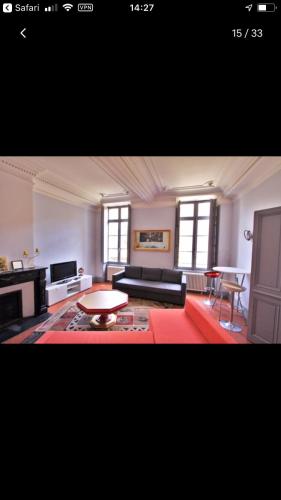 un salon avec un canapé et une table dans l'établissement Beziers centre historique, à Béziers