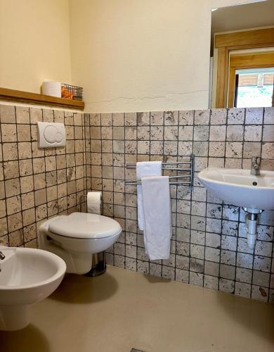 a bathroom with a toilet and a sink at Maison Rosset agriturismo, camere, APPARTAMENTI e spa in Valle d'Aosta in Nus