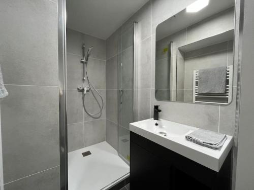 a bathroom with a shower and a sink and a toilet at Le Moovie - Centre-ville- Écran cinéma in Sens