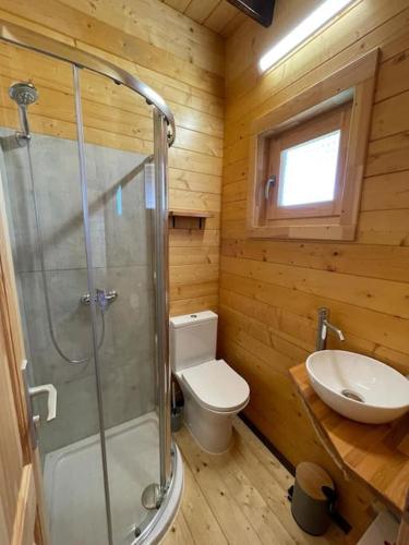 a bathroom with a shower and a toilet and a sink at Casa em madeira com jardim privado in Peniche