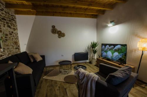 a living room with a couch and a flat screen tv at Le Petit Candie in Maisoncelles-en-Brie