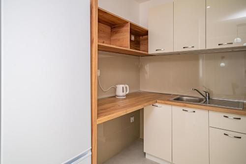 a small kitchen with white cabinets and a sink at Red Hill in Kotor