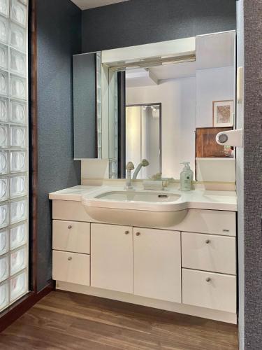 a bathroom with a sink and a mirror at 錦糸町徒歩4分210平米大空間和風庭園テラススカイツリービュー畳部屋 in Tokyo
