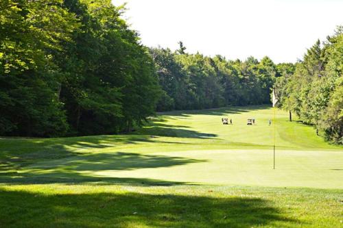 a view of a golf course with a green at The Beautiful & Cozy Malvec Chalet in Tobyhanna