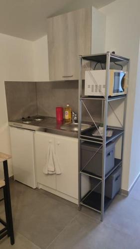 une petite cuisine avec évier et étagère. dans l'établissement Appart cosy proche gare RER E entre Paris-Disney, à Pontault-Combault