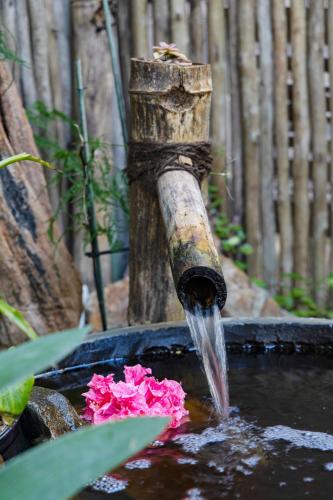 Taman di luar Pearl Moon Boutique Suites