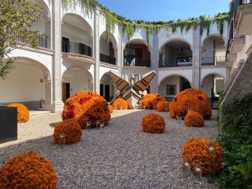 a garden of orange flowers in a building at Live Aqua San Miguel de Allende in San Miguel de Allende