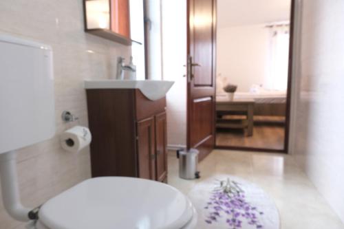 a bathroom with a sink and a toilet and a mirror at Casa Pelerinului in Alba Iulia