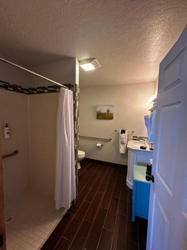a bathroom with a shower and a toilet and a sink at Adobe Rose Boutique Inn in Artesia