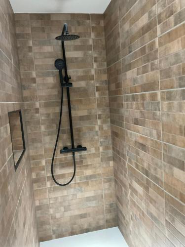 une douche avec pommeau de douche dans une salle de bain dans l'établissement Kamehouse - Centre ville -4 personnes, à Dieppe