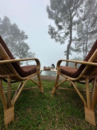 two wooden chairs sitting on the grass near the water at Moksha at Infinity Valley in Kotagiri