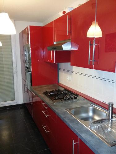 - une cuisine rouge avec un évier et des placards rouges dans l'établissement Résidence Le Parc 68, à Colmar