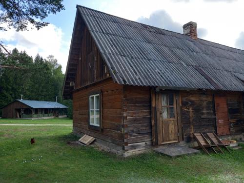 a small wooden cabin with a black roof at Vastseliina Metskond Camping in Vahtseliina