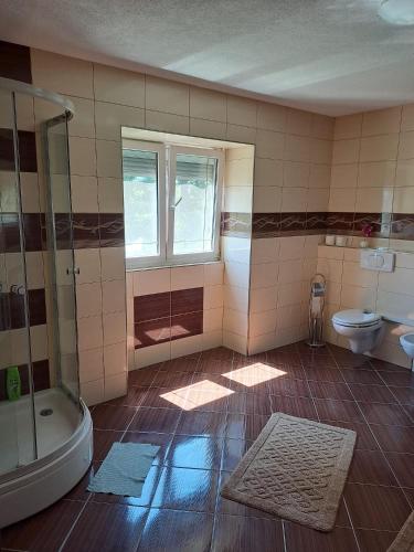 a bathroom with a shower and a sink and a toilet at Vila Jasmina in Bihać