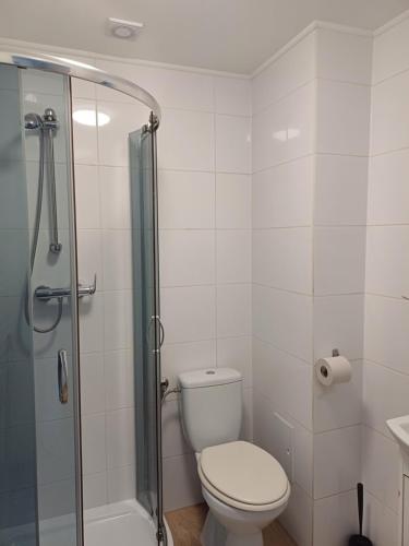 a white bathroom with a toilet and a shower at Gościniec Solan in Jeleniów