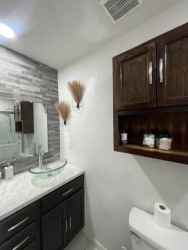 a bathroom with a sink and a mirror and a toilet at Home in Fort Worth in Fort Worth