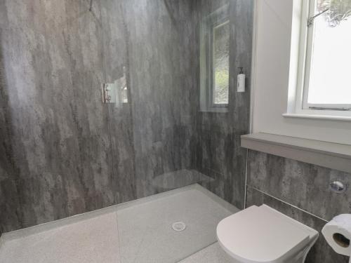 a bathroom with a white toilet and a window at Luxury Lodge 69 in Rhyl